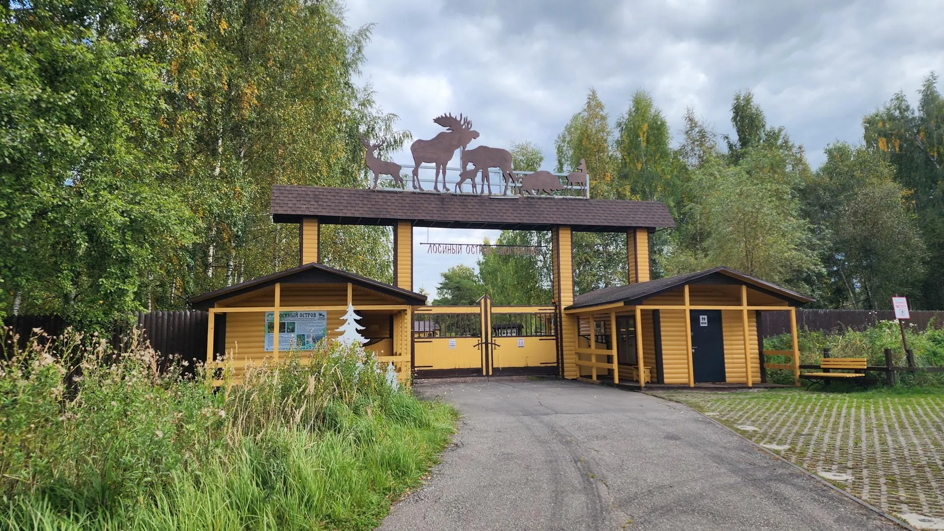 Картинка