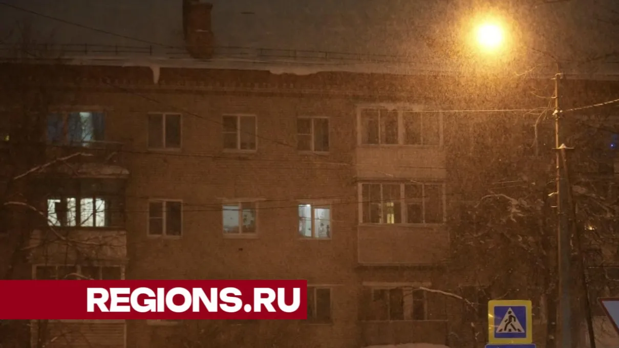 Фото: Дмитрий Зайчиков