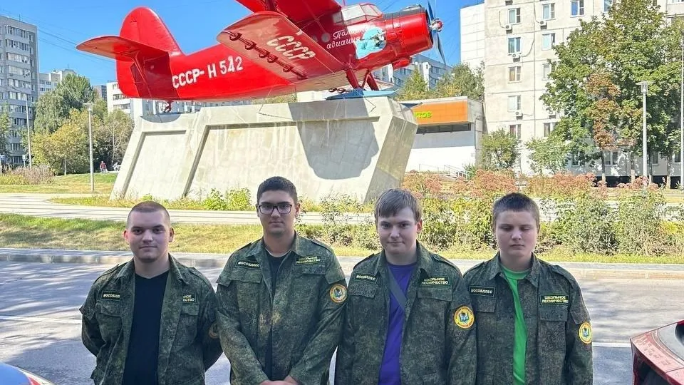 Картинка