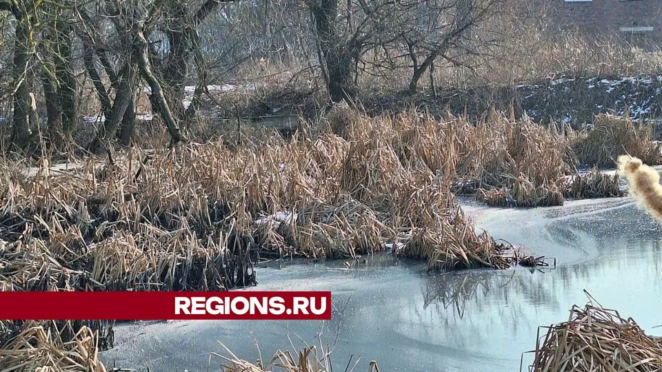 Фото: личный архив Сергея Букина