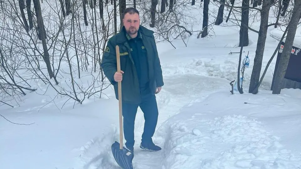 Фото: Комитет лесного хозяйства Московской области