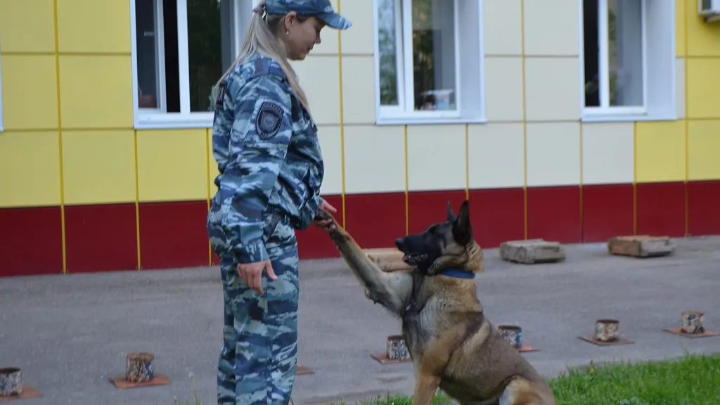 Фото: Наро-Фоминская полиция&nbsp;