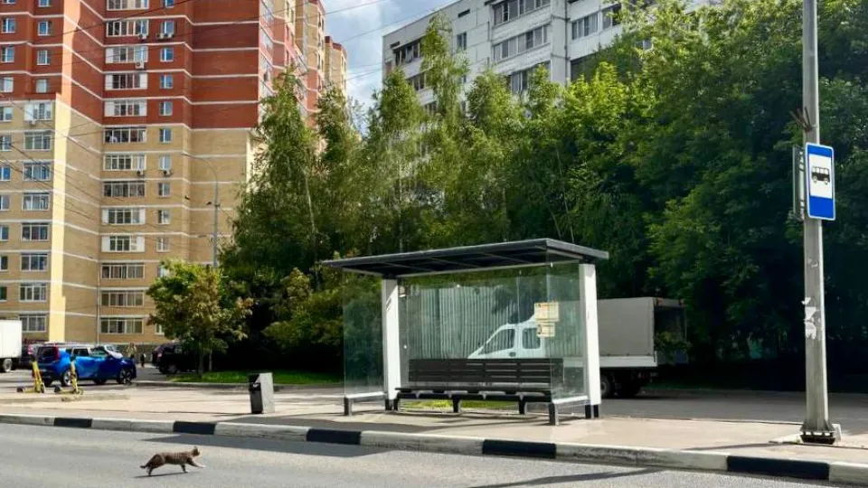 Фото: Минтранс МО