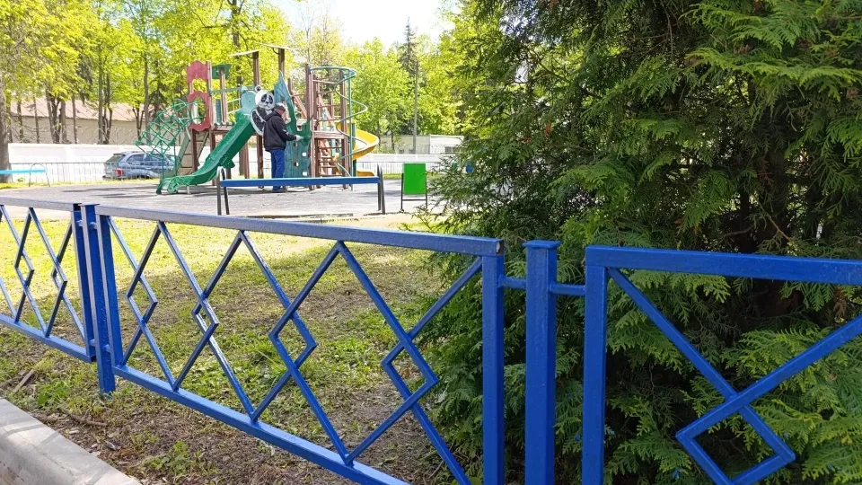 Фото: Ольга Антонова