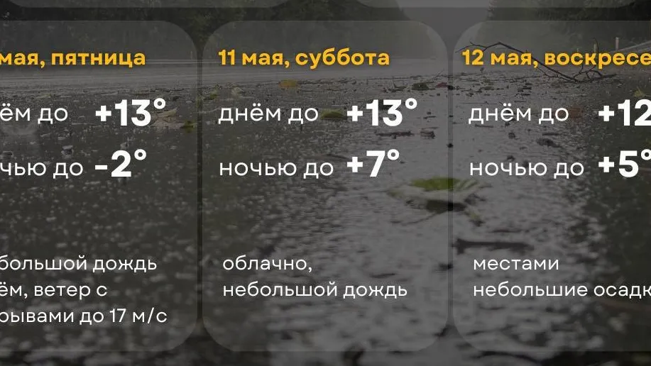 Фото: пресс-служба министерства транспорта и дорожной инфраструктуры Московской области