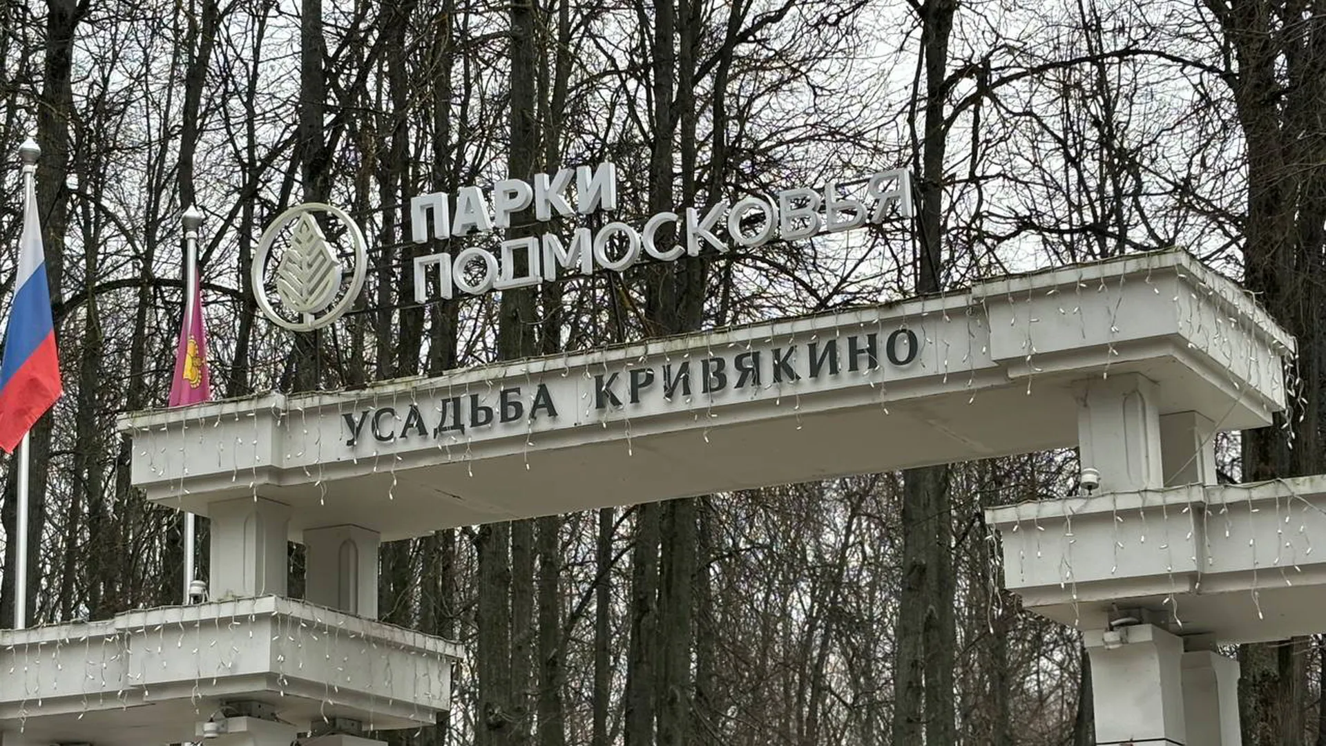 Фото: Светлана Плотникова