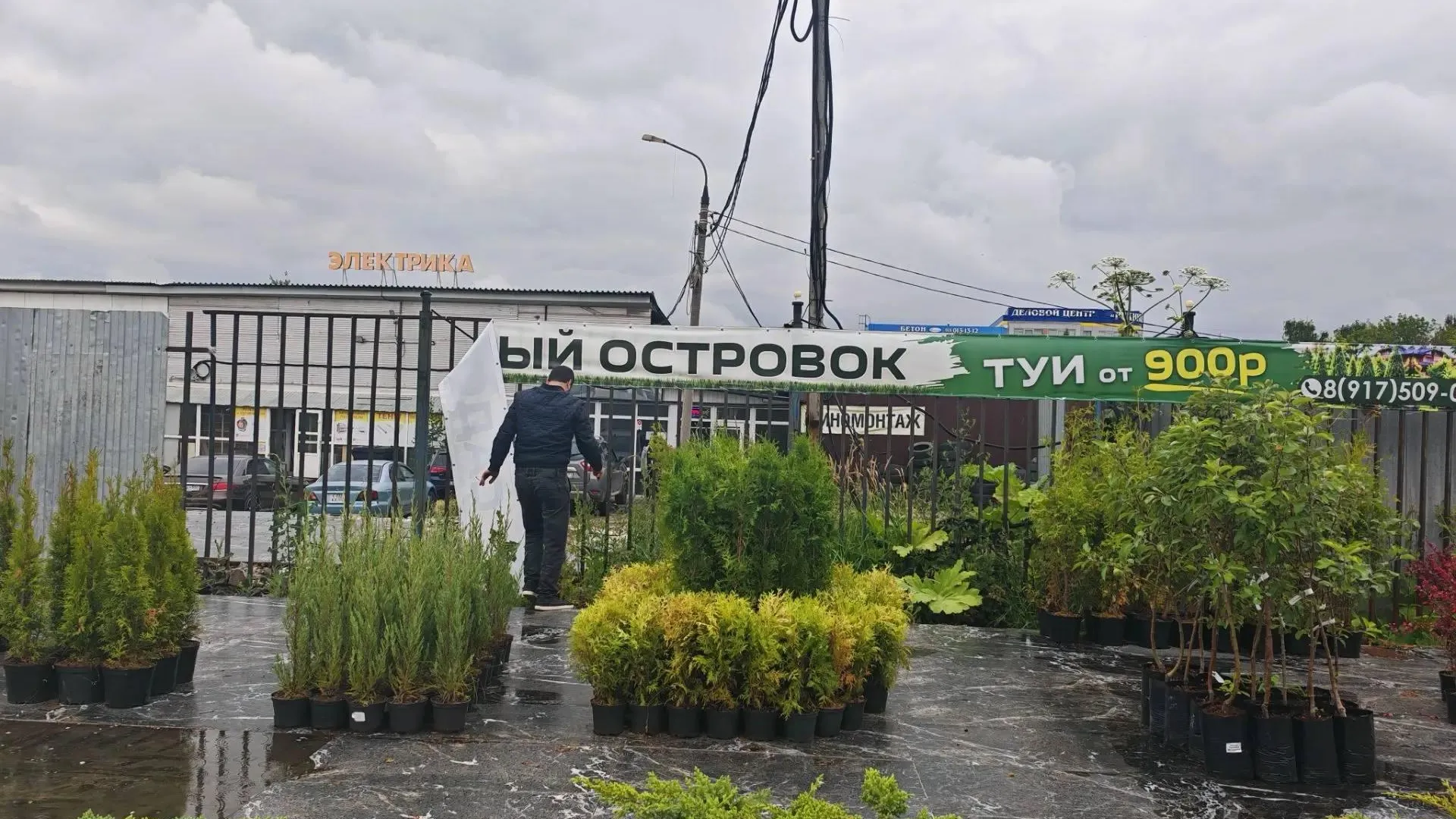 Картинка