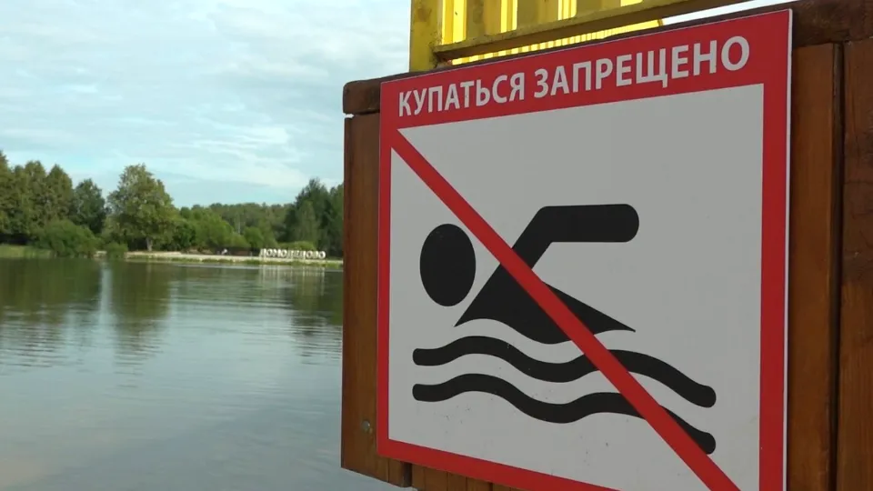 Фото: МедиаБанк Подмосковья/Наталия Надточая