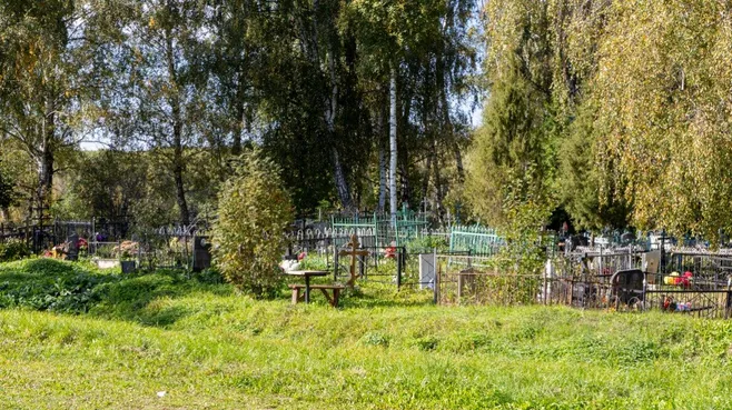 Медведь ел булку на могиле в Новокузнецке, затем заметил съемку и запись оборвалась
