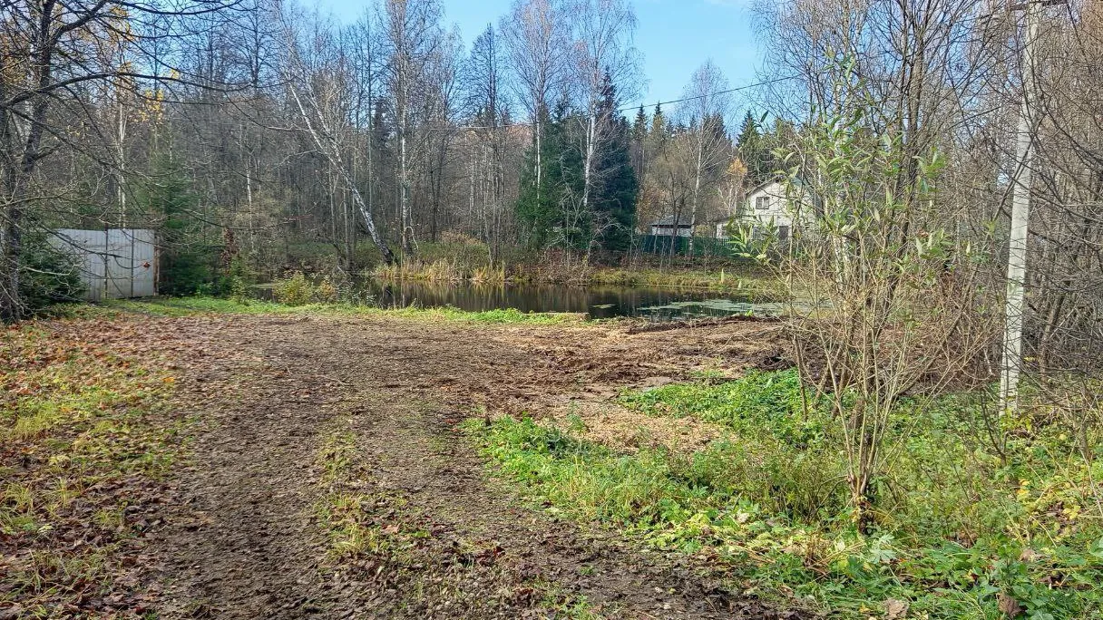 Фото: пресс-служба администрации Наро-Фоминского г.о.