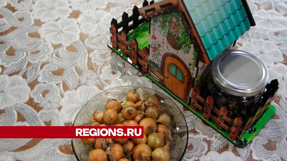 Фото: REGIONS/Василий Тремасов