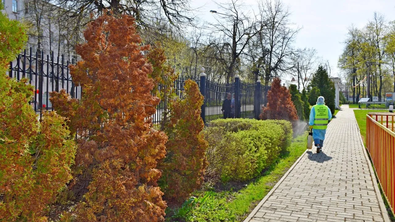 Картинка