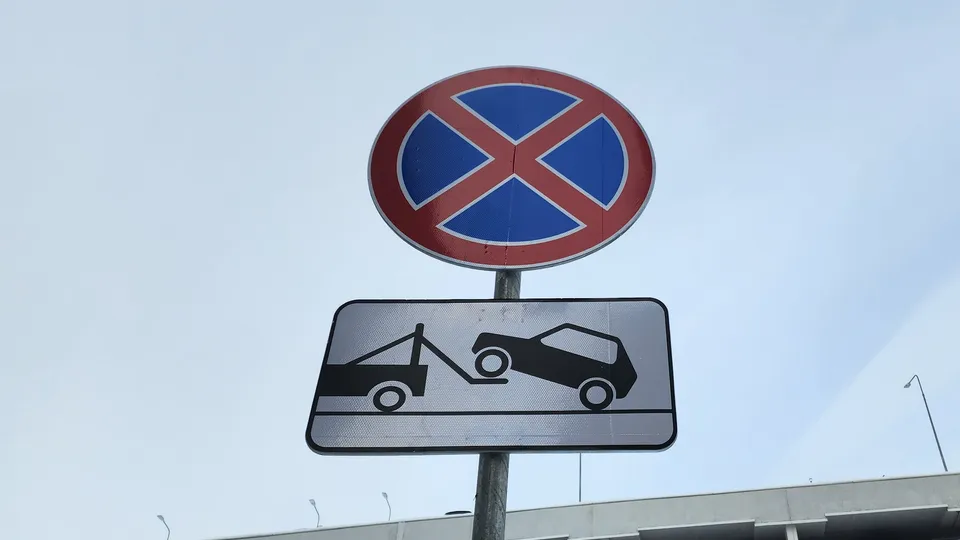 Фото: МедиаБанк Подмосковья/Анастасия Сараева&nbsp;