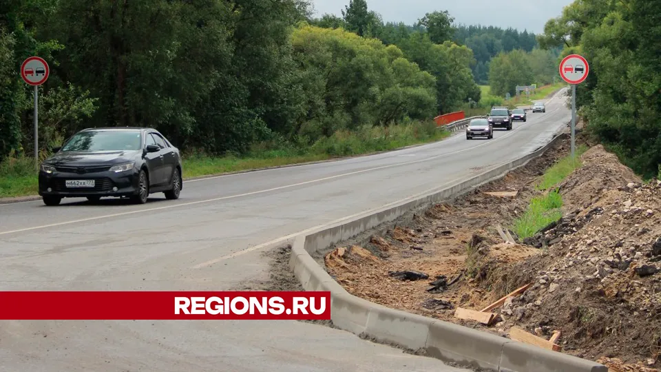 Фото: REGIONS/Василий Тремасов