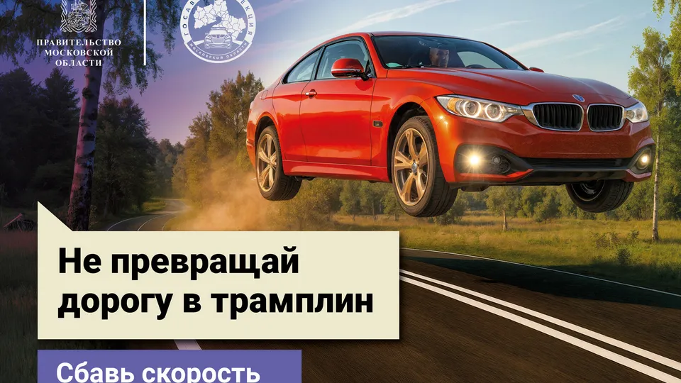 Фото: Госавтоинспекция по Московской области