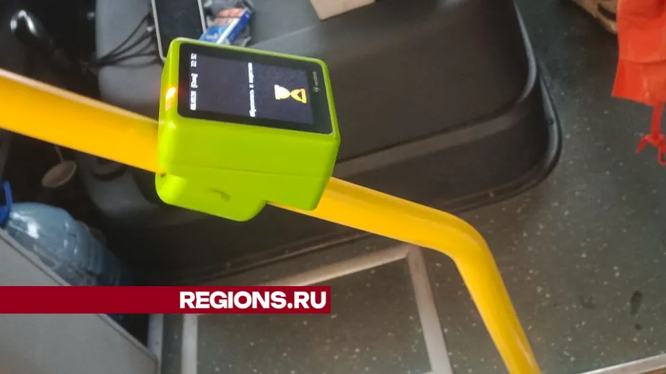 Фото: REGIONS/Юлия Павлова