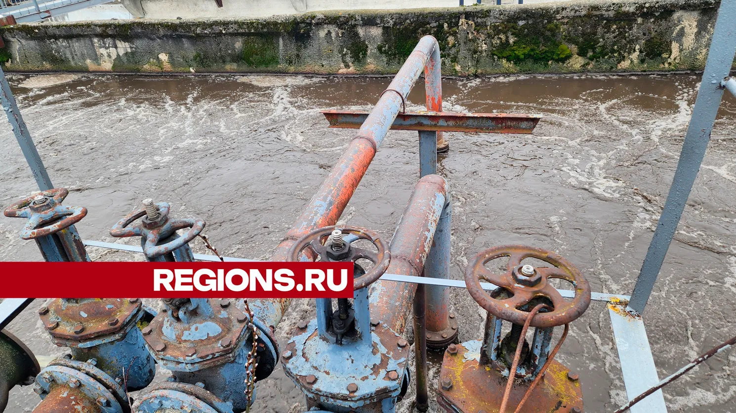Фото: Ольга Егиян