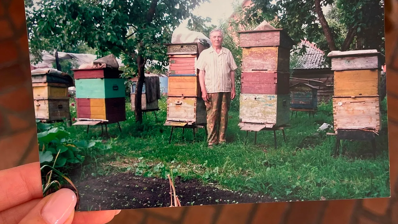 Картинка
