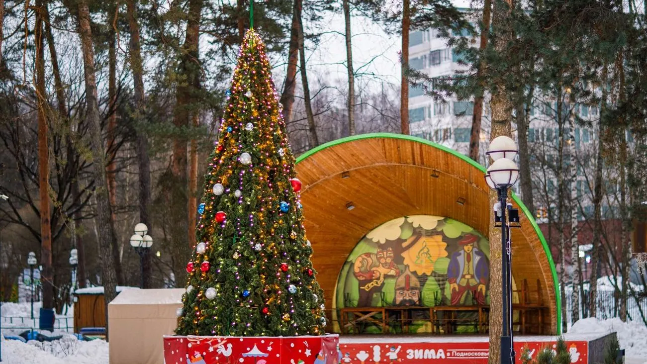 Фото: медиасток.рф
