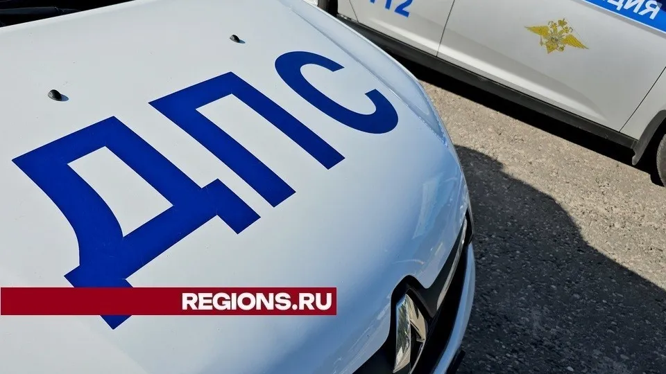 Фото: REGIONS/Александр Дрожжин