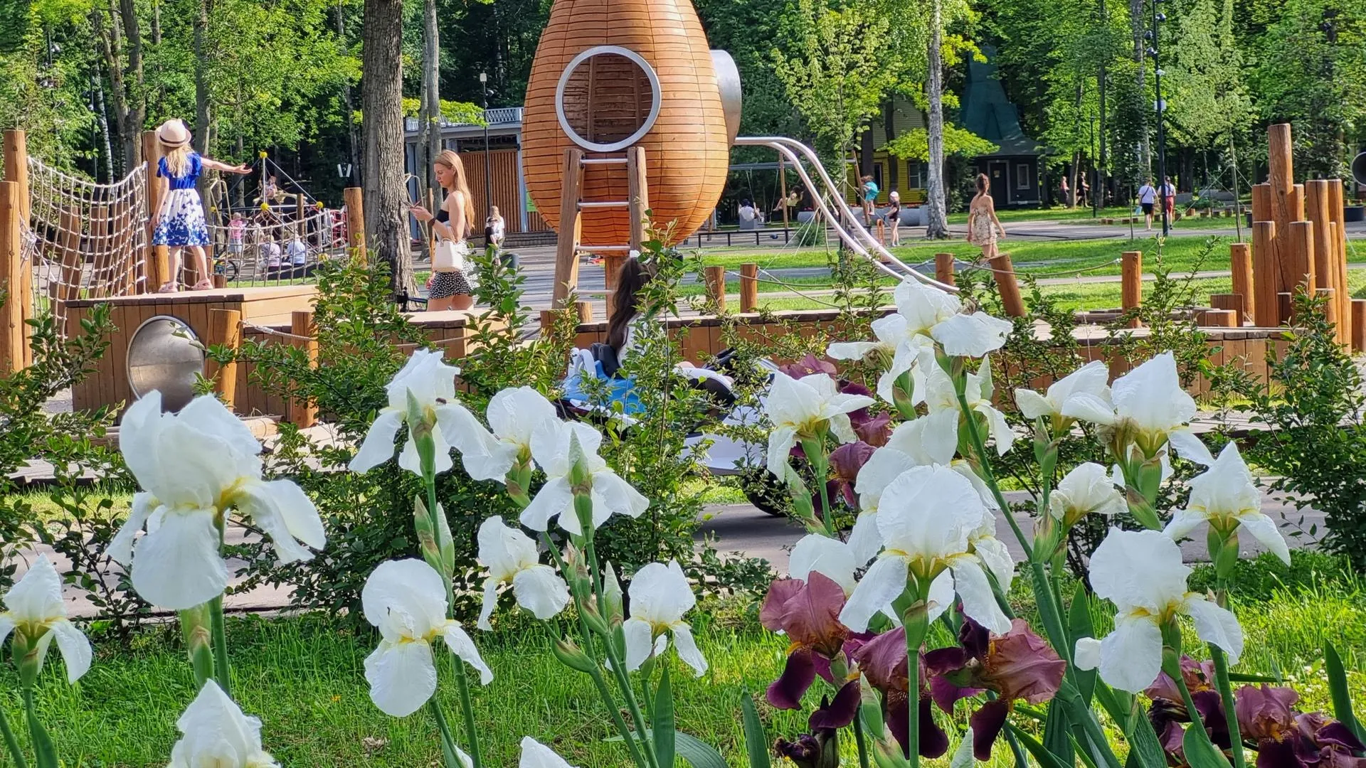 Картинка
