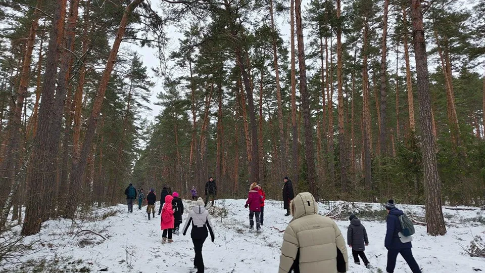 Фото: Комитет лесного хозяйства МО