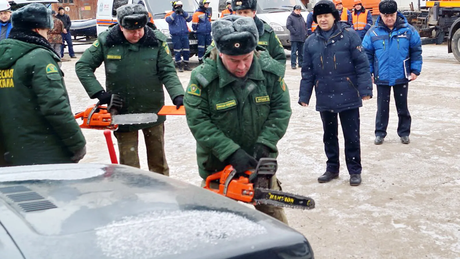 Фото: филиал «Русский лес» ГАУ МО «Мособллес»