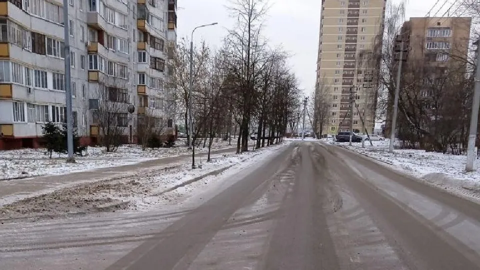 Фото: пресс-служба администрации городского округа Лосино-Петровский