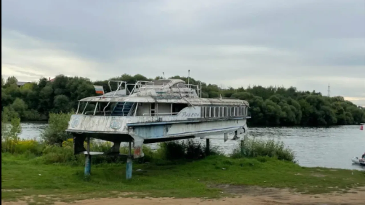 Картинка