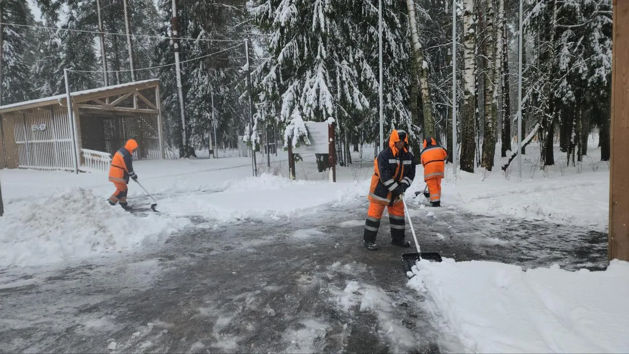 Картинка