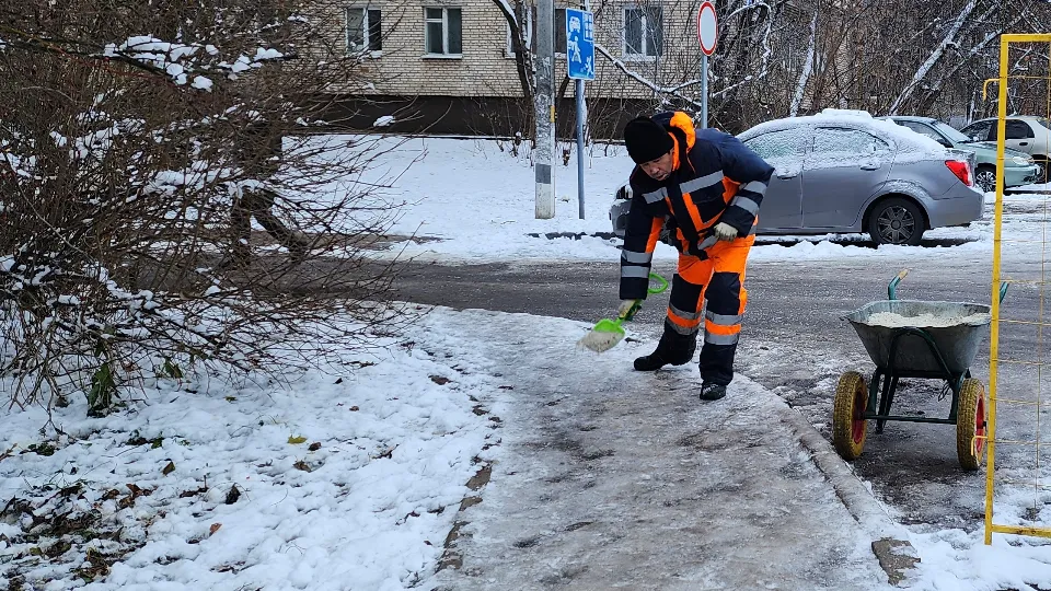 Фото: МедиаБанк Подмосковья/Андрей Алекин