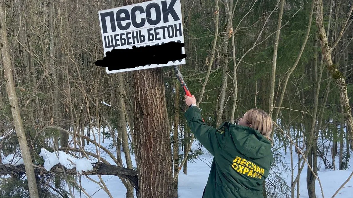 Комитет лесного хозяйства Московской области