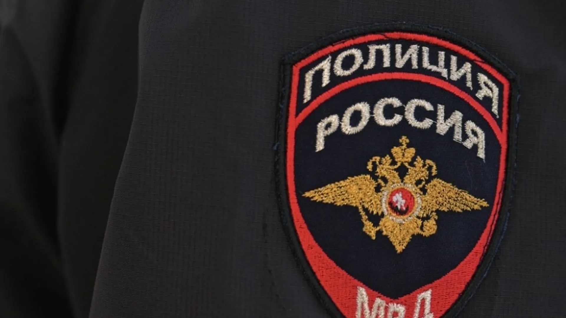 Фото: УМВД России по МО