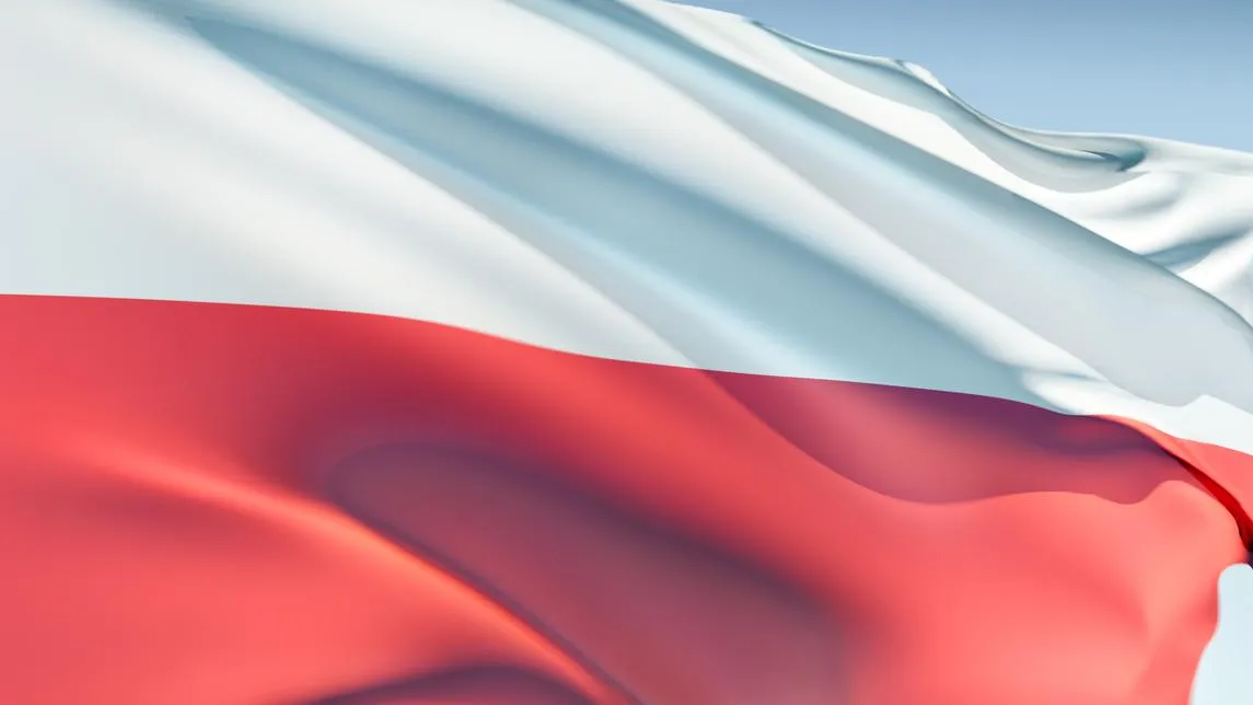 Обмен Бутягина: политолог рассказал, почему Польша отдала археолога России