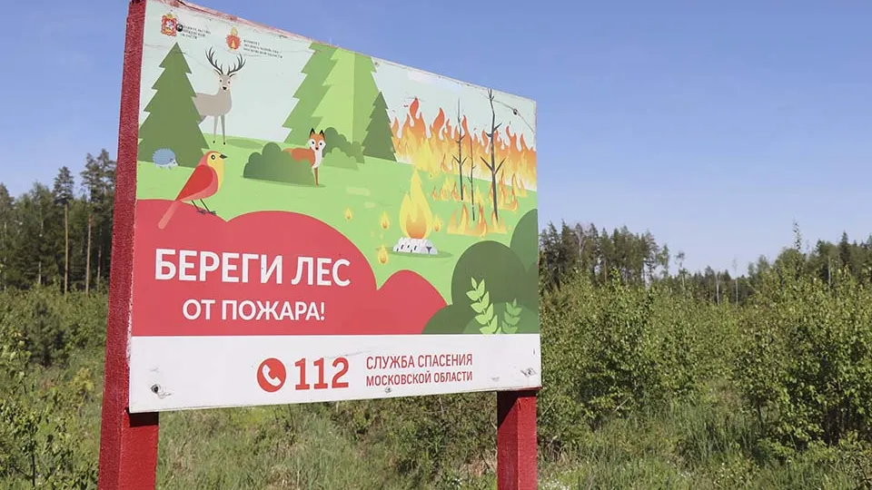 Фото: REGIONS/Василий Тремасов