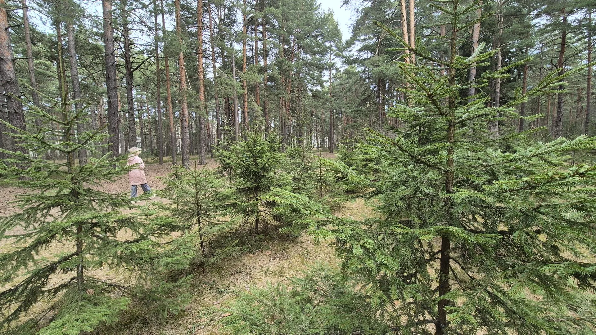 стало