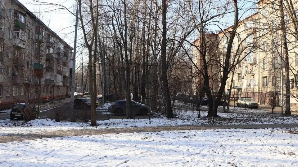 Фото: пресс-служба администрации городского округа Мытищи