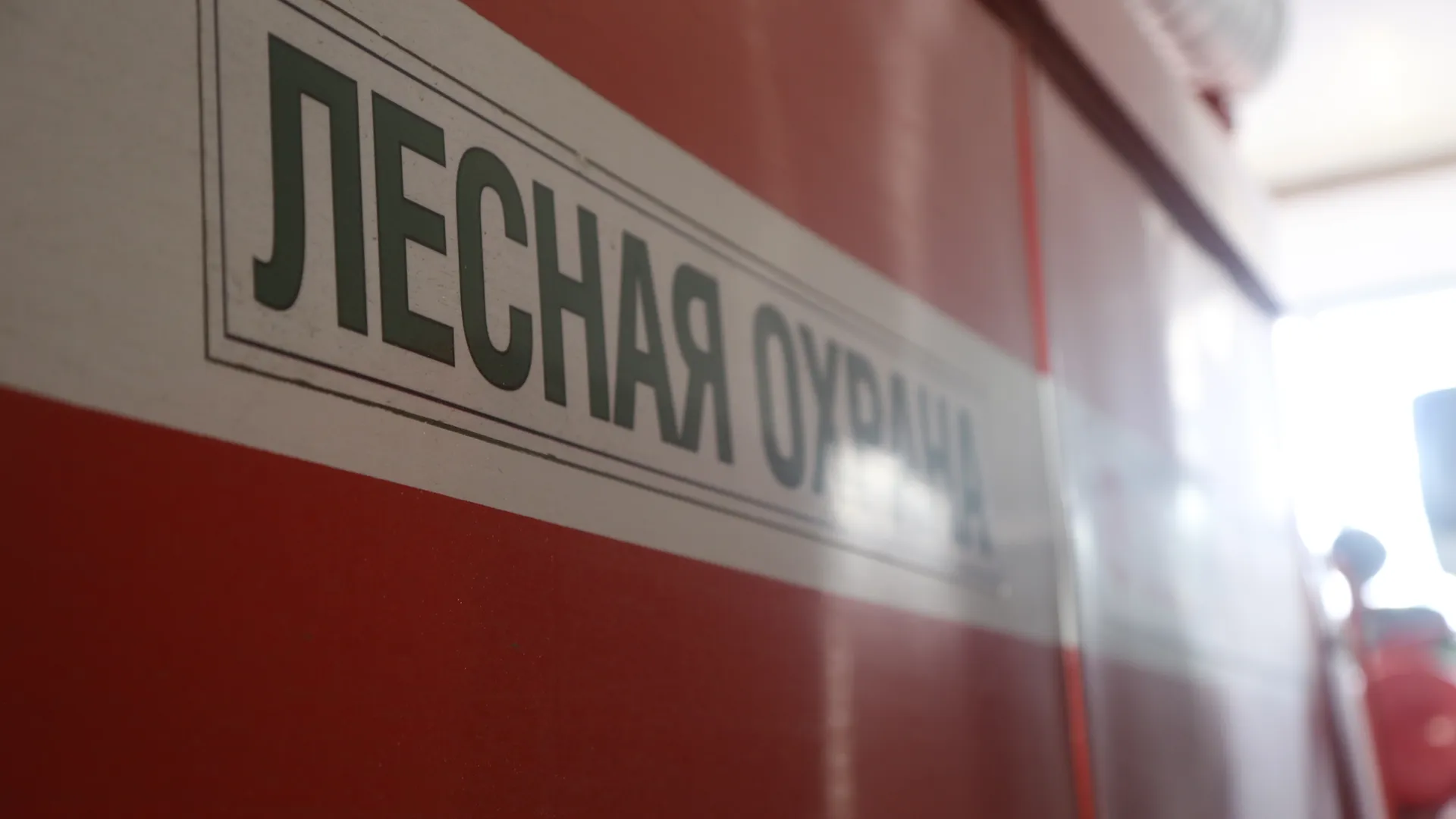Совещание Мурашова в Ногинском лесничестве и осмотр ЛПС