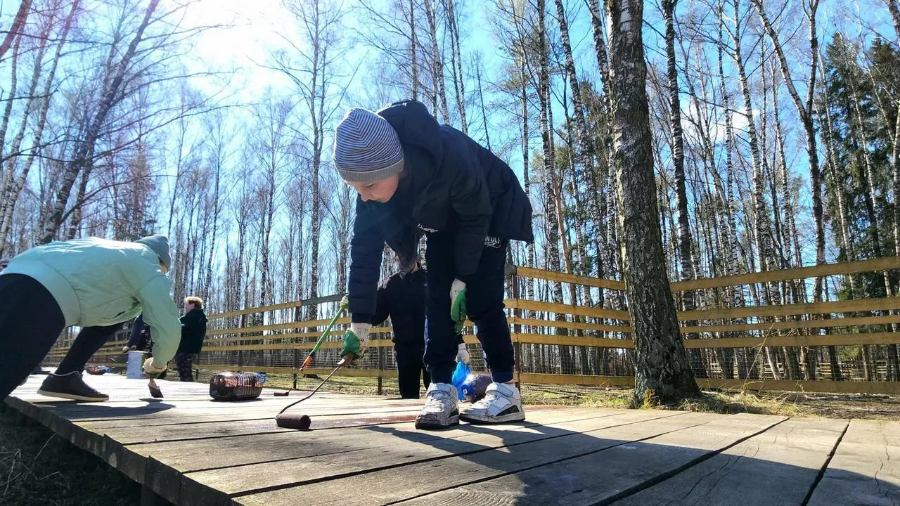 Картинка