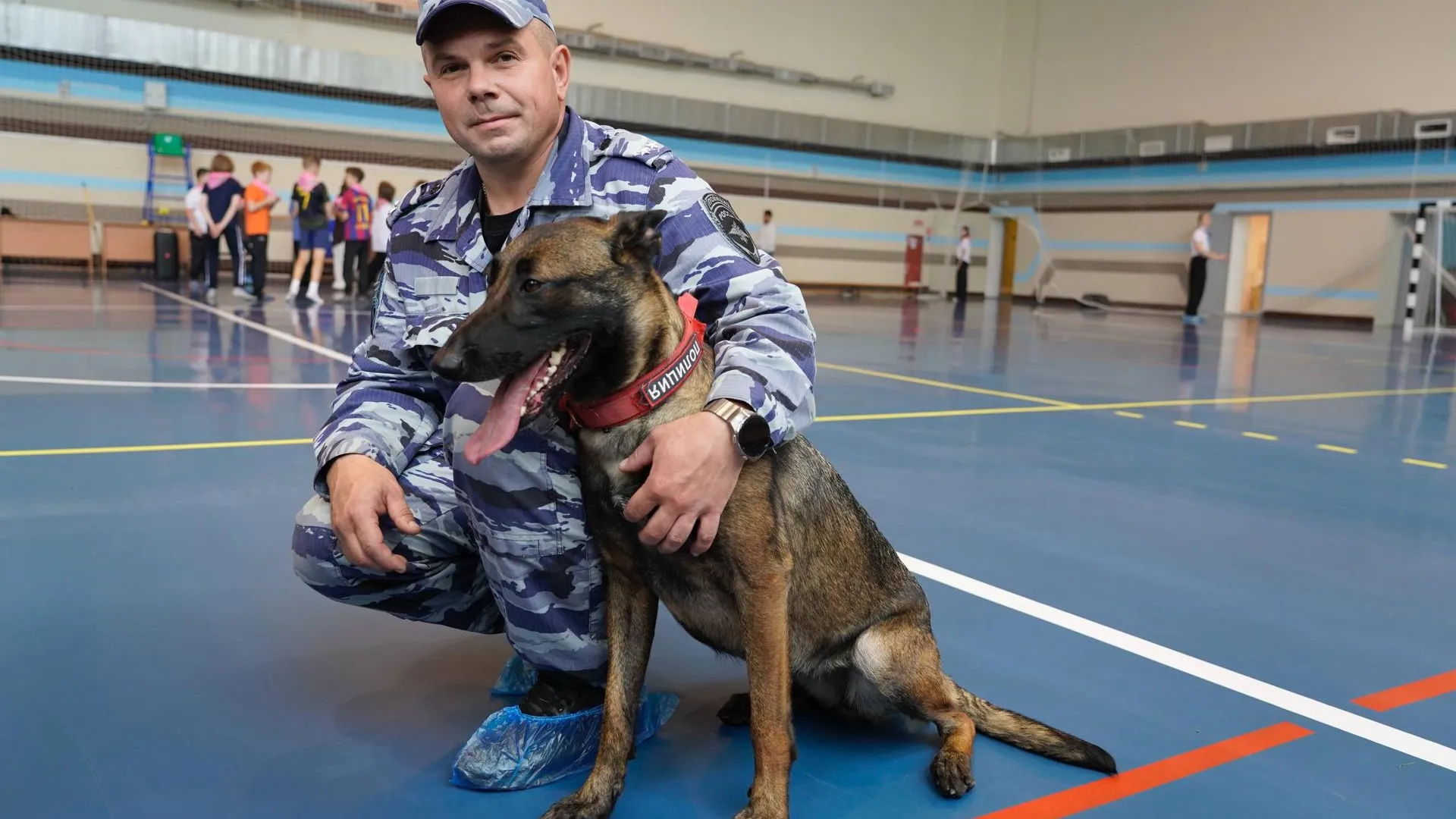 Картинка