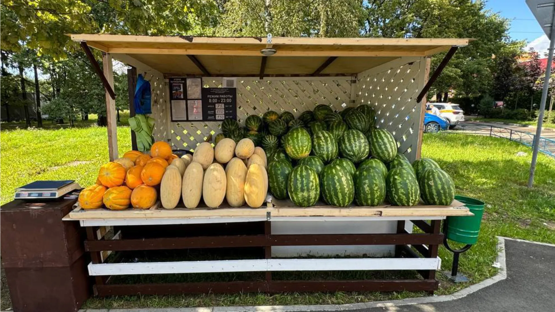 Фото: Минсельхоз МО
