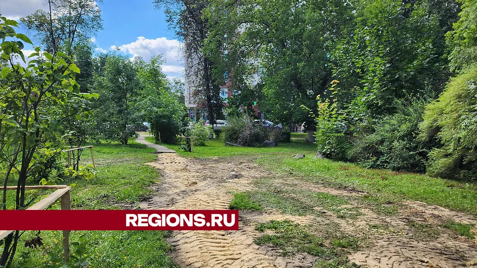 Фото: Роман Савельев