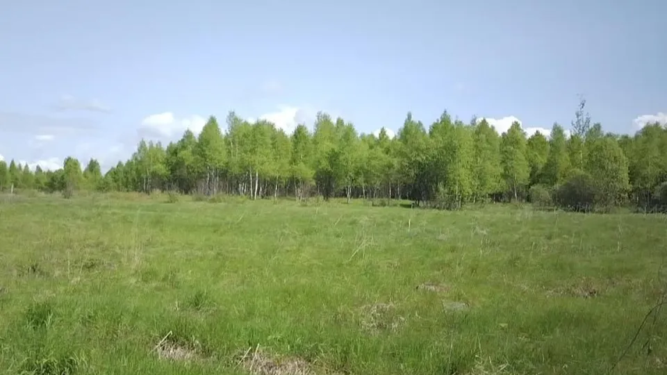 Минимущества МО