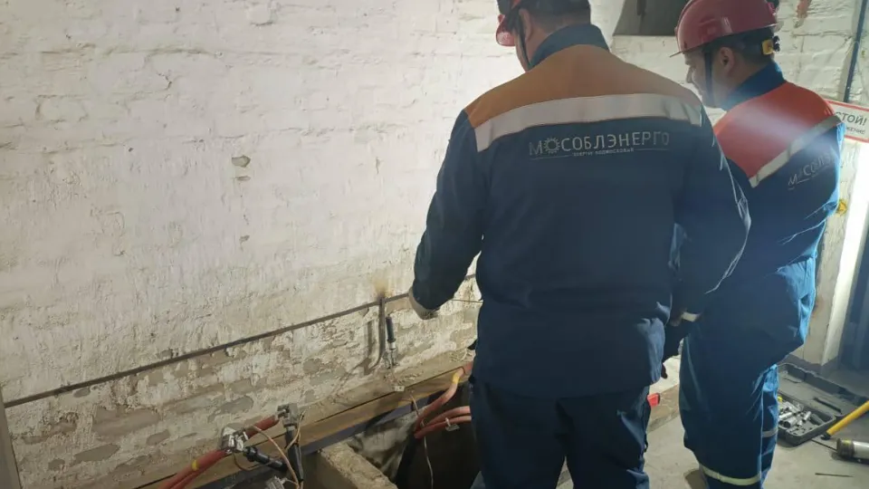 Фото: Министерство энергетики Московской области