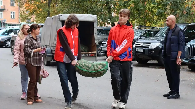 Картинка