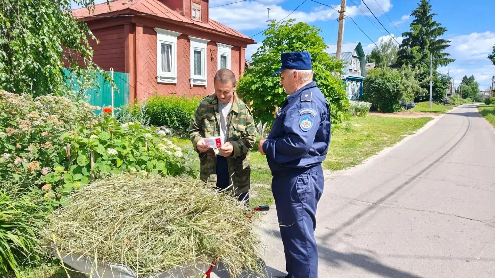 Картинка