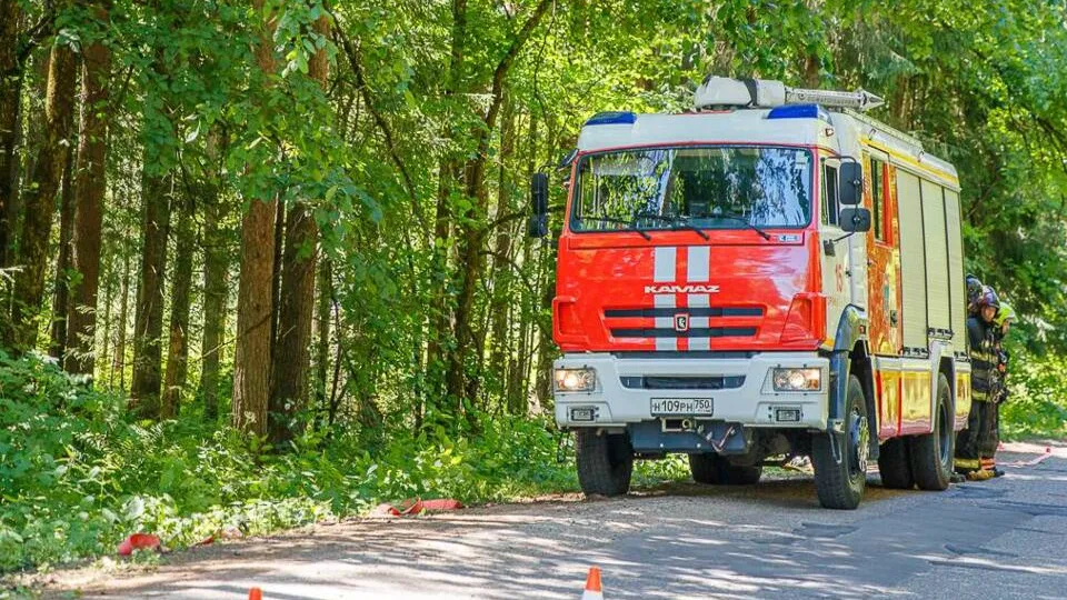 Фото: пресс-служба администрации Одинцовского городского округа
