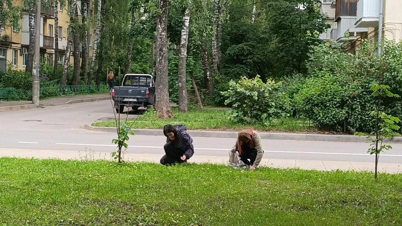 Картинка