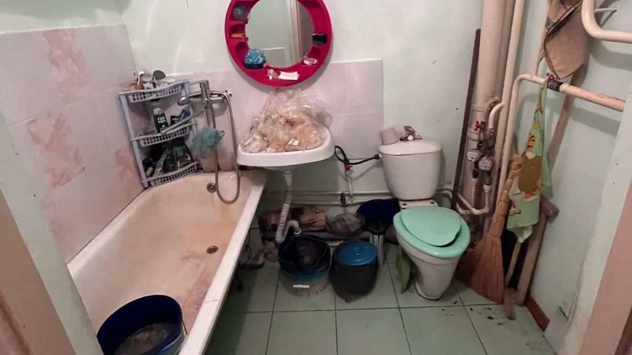 Прокуратура Красноярского края