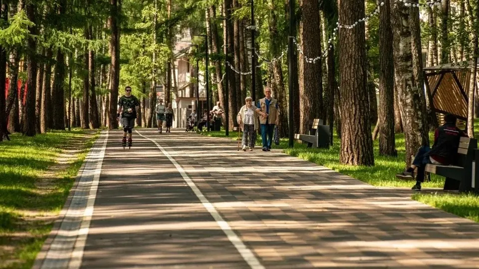 Фото: Министерство благоустройства Московской области
